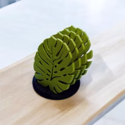 Coasters 3D